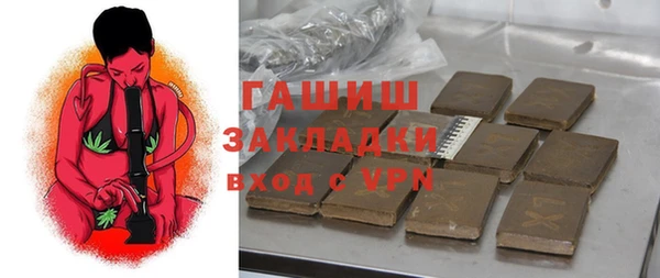 гашик Ельня