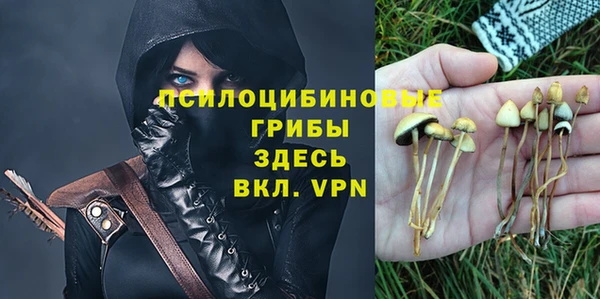а пвп мука Елабуга