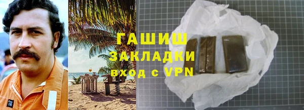 гашик Ельня