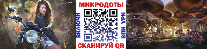 Галлюциногенные грибы Cubensis  Купить  Малгобек 