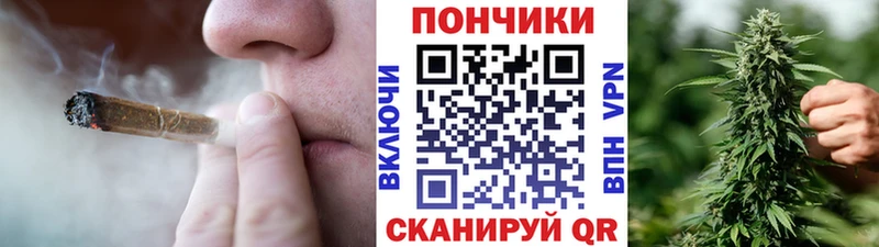 Купить закладки  Малгобек  МАРИХУАНА Amnesia 